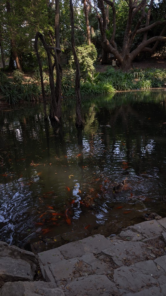 Latest gallery photo from August 18, 2025